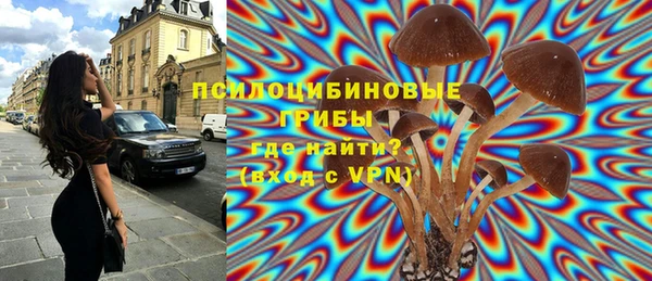 spice Абдулино