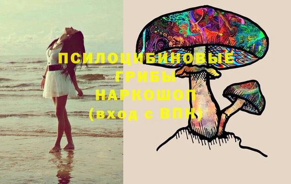 СК Покачи
