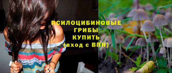 spice Абдулино