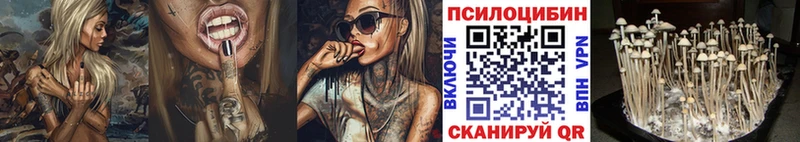 где можно купить наркотик  Стрежевой  Псилоцибиновые грибы мухоморы 